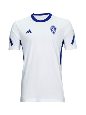 Camiseta Blanquiazul 27RZ