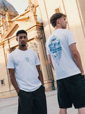 Camiseta Iconos de Zaragoza