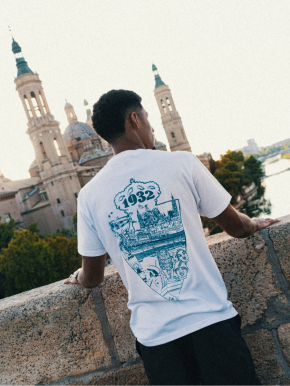 Camiseta Iconos de Zaragoza