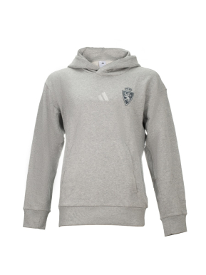 Sudadera Con Capucha Gris